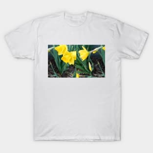 dafodil T-Shirt